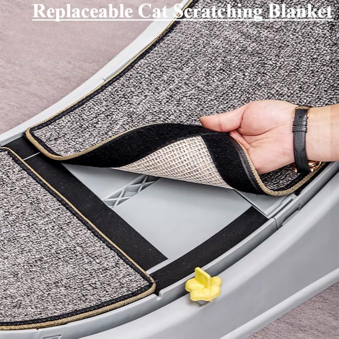 Large Exercise Wheel for Active Cats