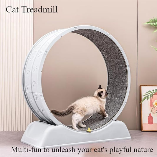 Large Exercise Wheel for Active Cats